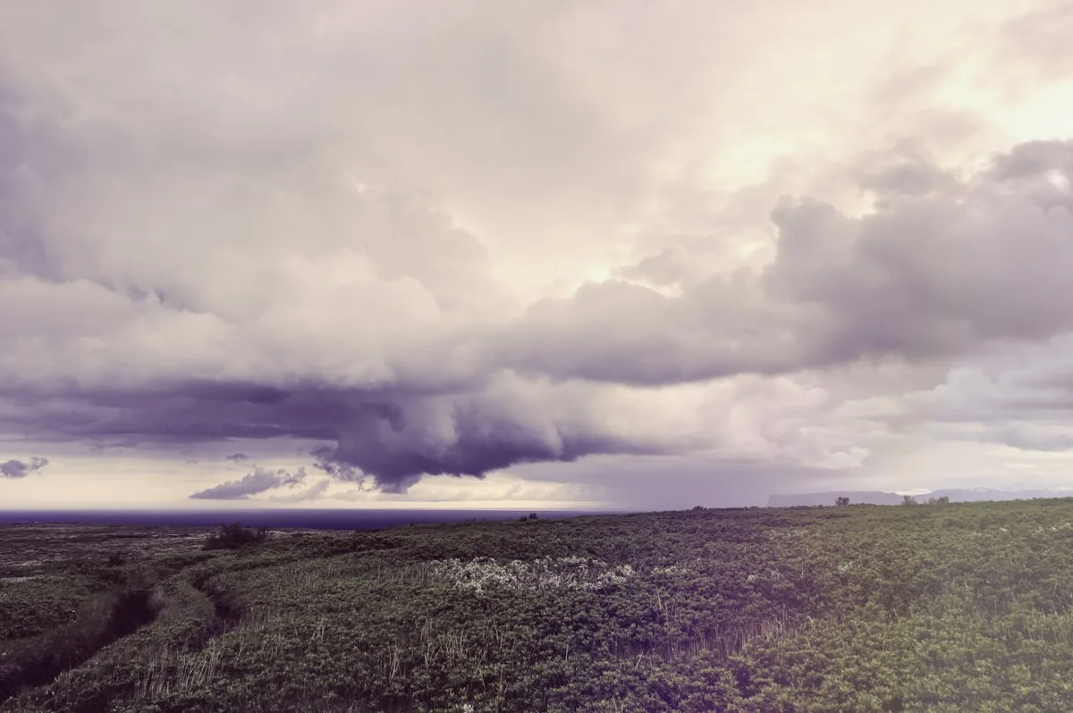 Hair treatment inspiration